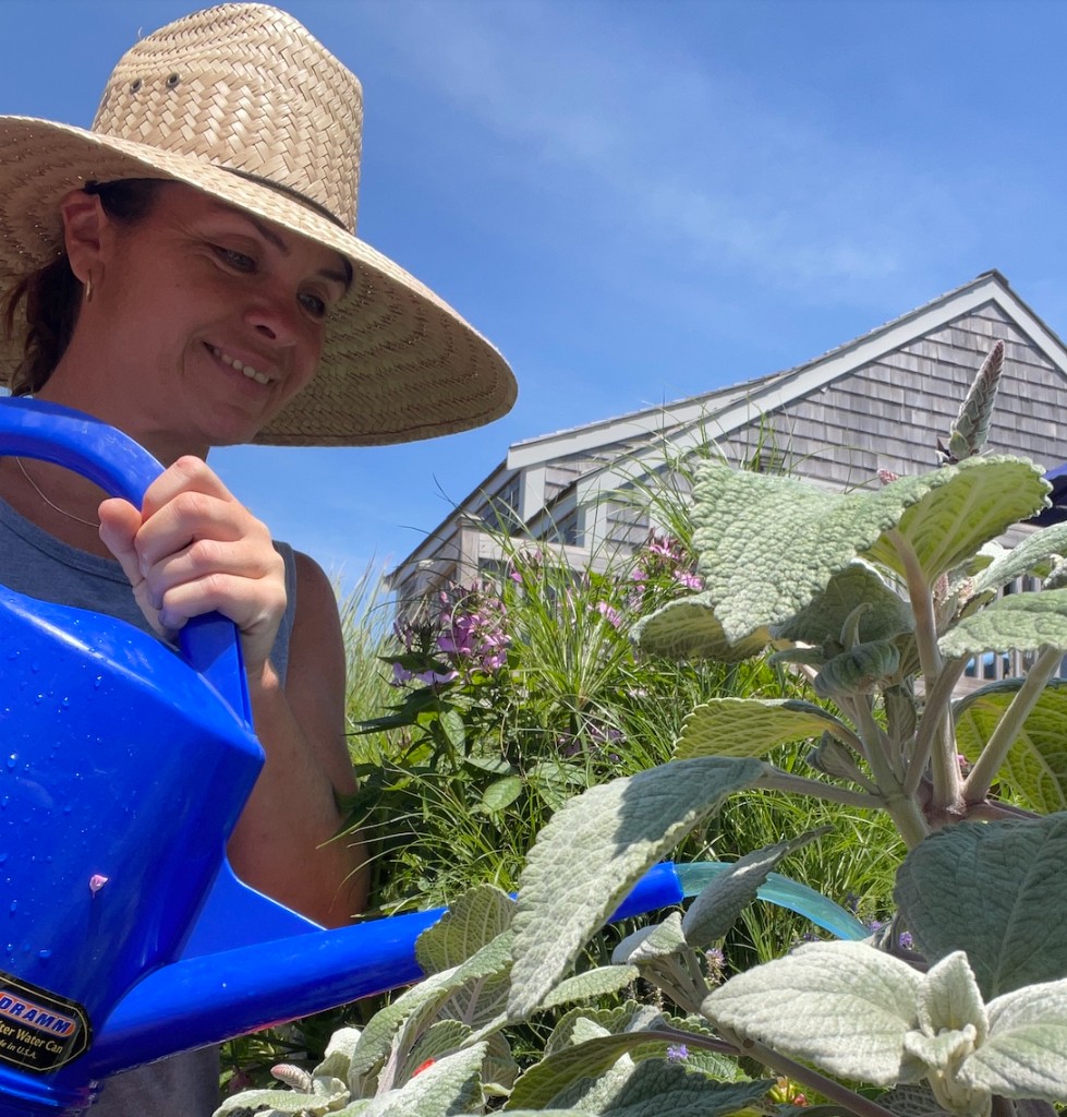 Andrea working in a Nantucket garden